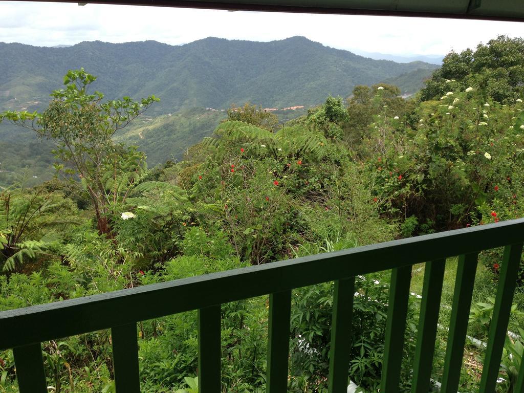 D'Villa Rina Ria Lodge, Kinabalu Park, Kundasang Bundu Tuhan Exteriér fotografie