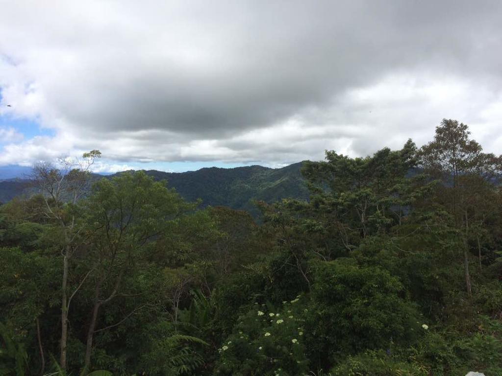 D'Villa Rina Ria Lodge, Kinabalu Park, Kundasang Bundu Tuhan Exteriér fotografie