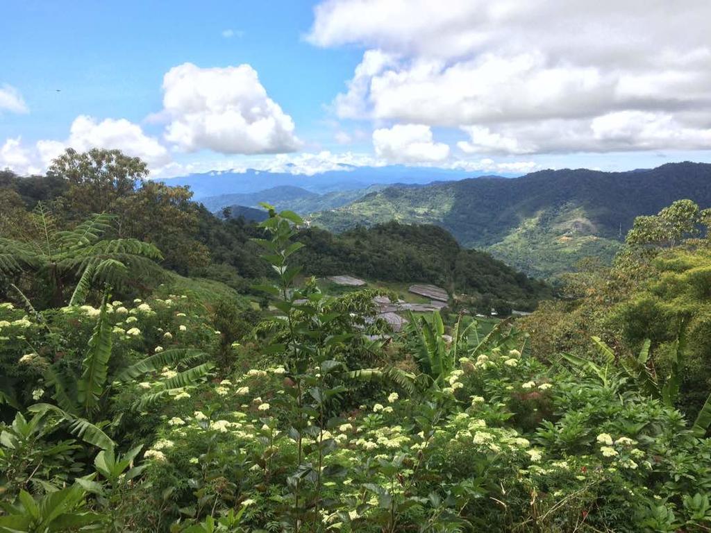 D'Villa Rina Ria Lodge, Kinabalu Park, Kundasang Bundu Tuhan Exteriér fotografie