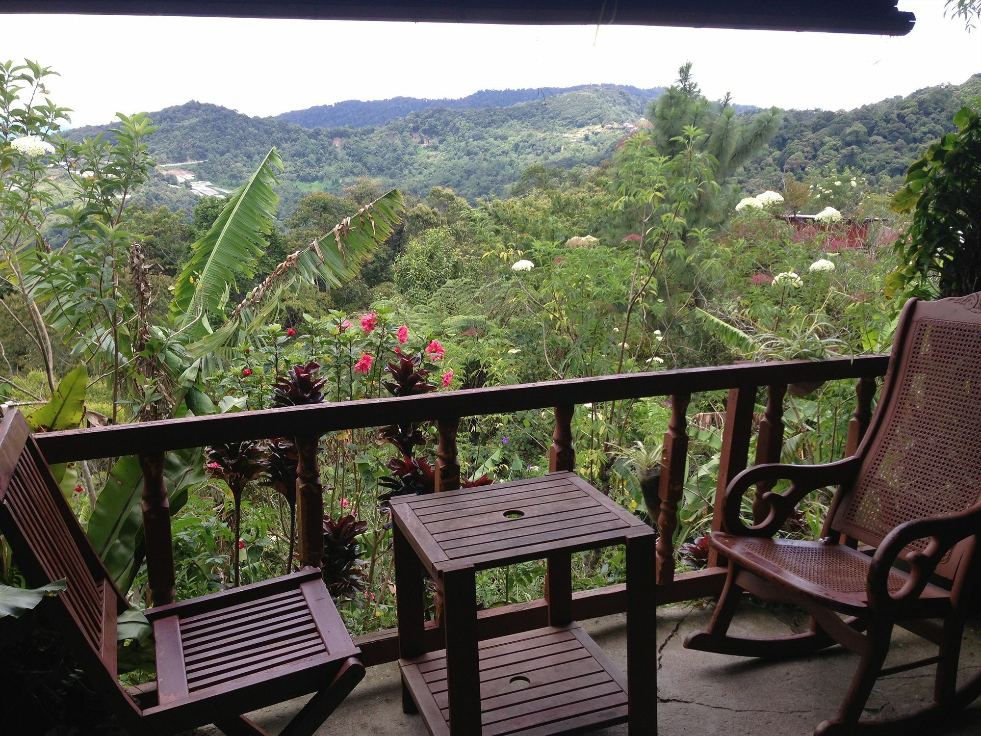 D'Villa Rina Ria Lodge, Kinabalu Park, Kundasang Bundu Tuhan Exteriér fotografie